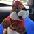 Maira Alm's profile image