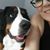 Debbie Kincaid's profile image