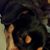 Bruce Grasty's profile image