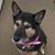 Kimberly Cobb's profile image