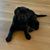 Kelly Mansberger Kirchwehm's profile image