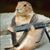 Chris Fhd Branson's profile image