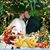 Ivan Ricardo Rodriguez's profile image