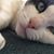 Jacqueline Leland Maris's profile image
