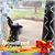 Lorna Sims's profile image