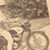 Paul Horn's profile image