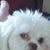 Paula Adkins's profile image