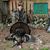 Steve Alexander's profile image