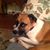 Lynda Hubbs's profile image