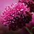 Maribel Rodriguez's profile image
