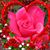 Julie Heveran's profile image