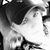 Christie A. Hulsey's profile image
