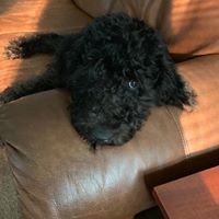 Debra Rutkowski's profile image