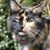 Debra Hall's profile image