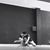 Margot Ciccarelli's profile image