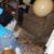 Bernadette Zani's profile image