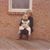Anne Witte DeMaria's profile image