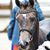 Kristen Cyron's profile image