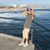 Carlos Castillo's profile image