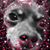 Kathleen Manchester Marks's profile image