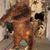 Last Frontier Taxidermy's profile image