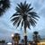Amy Stauffer Nicholson's profile image