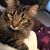 Terri Armstrong Waldridge's profile image