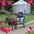 Judy Wert's profile image