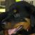 Tracy Allen's profile image