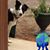 Karin Braaten Christopherson's profile image