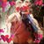 Diann Frost's profile image