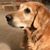 Julia Borree George's profile image