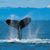Sara Raddatz's profile image