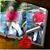 Shannon Roseboro's profile image