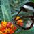 Robert Roon's profile image