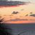 Kathy Boysen MacLeod's profile image
