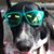 Kelly KM's profile image