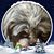 JoEtta Greathouse's profile image