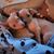 Joanne Lapent's profile image