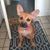 Eric Beebe's profile image