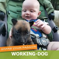 Ashley Sheppard's profile image