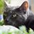 Reaka Peters's profile image
