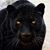 Theressa A. Henderson's profile image