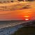 Terri LeFever's profile image