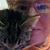Brenda Jim Winans's profile image