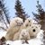 Kirsten Beeler's profile image