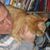 Bob McMillen-Torres's profile image