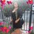 Erika Susana Delso Pavéz's profile image