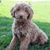 Colleen Burns's profile image