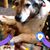 Lisa R Herman's profile image